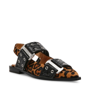  leopar
