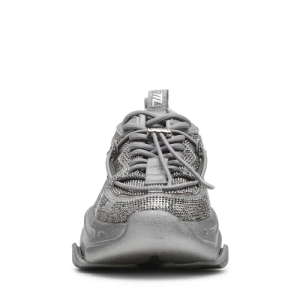 vault 2r silver