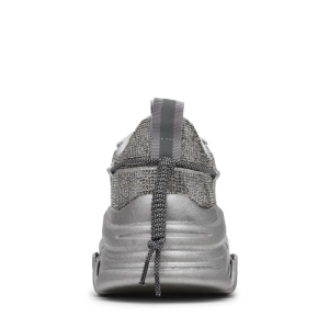 vault 2r silver