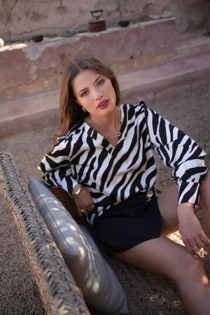  zebre