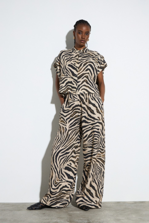  zebre