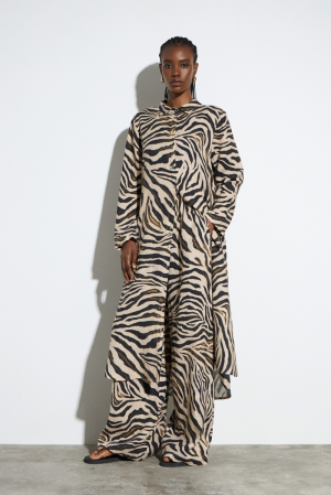  zebre