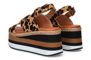 leopard